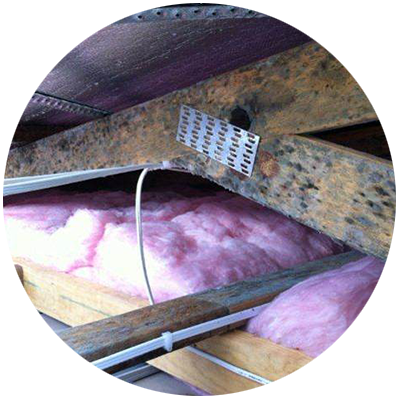 Interior of roof space with visible mould on timber trusses.